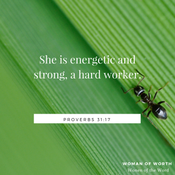 Go to the ant! Consider her ways and be wise. Proverbs 6:6‭